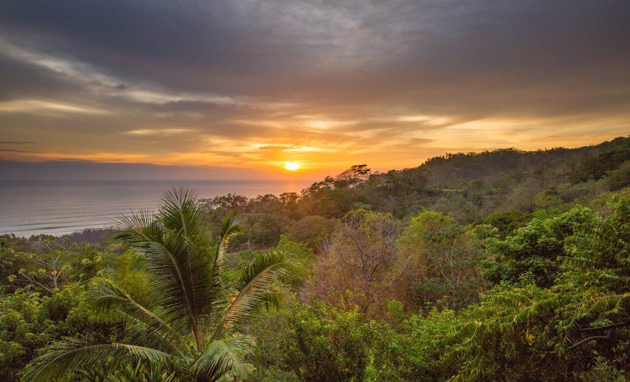 KKTWW - Habitas, Santa Teresa